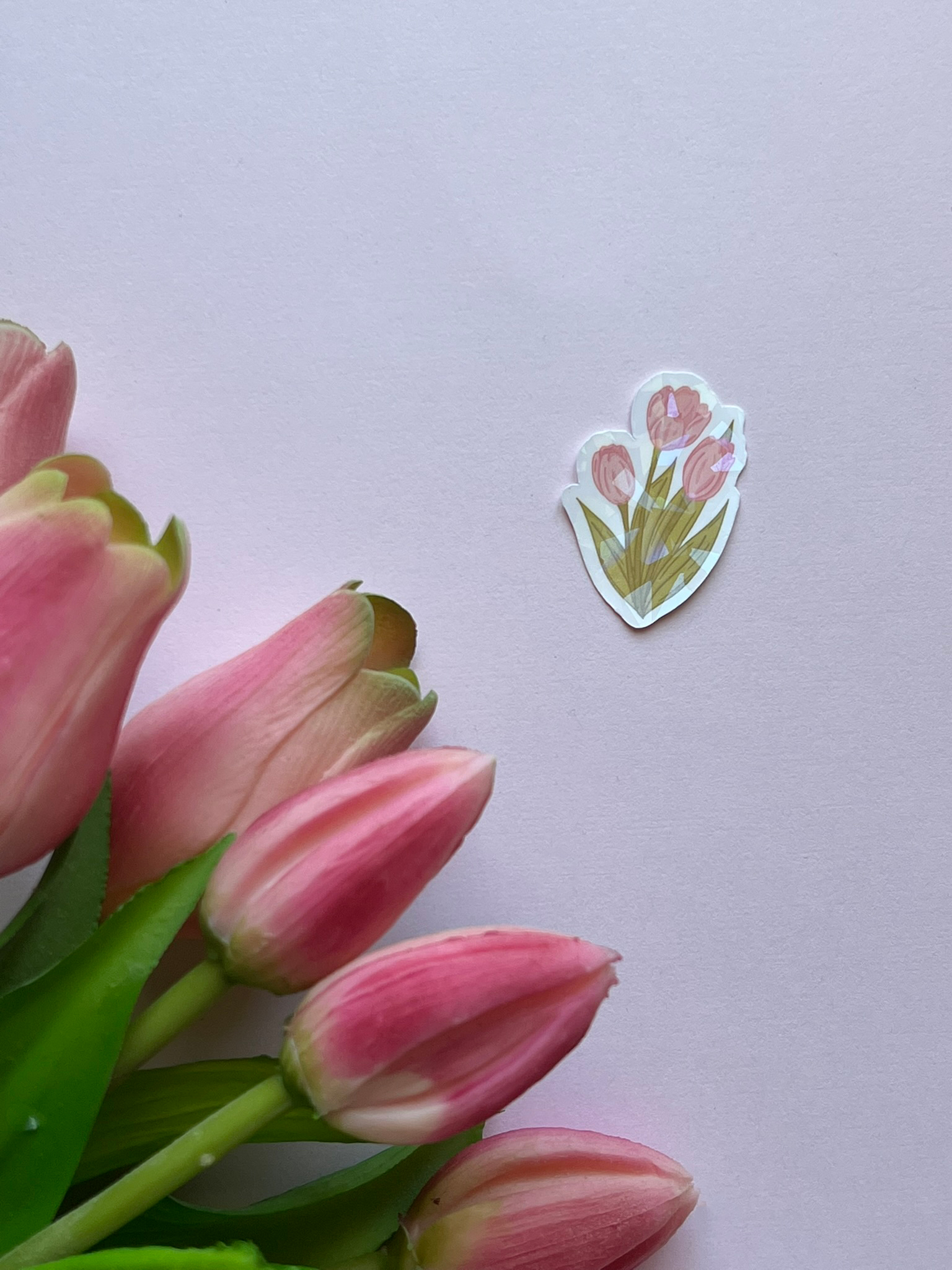 Tulipes | Sticker